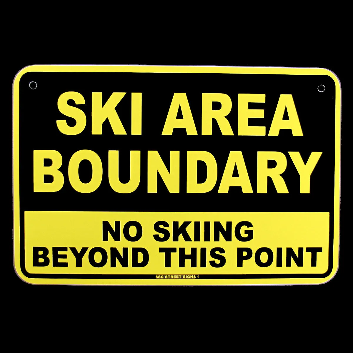 No Skiing Beyond Point Warning Wall Sign